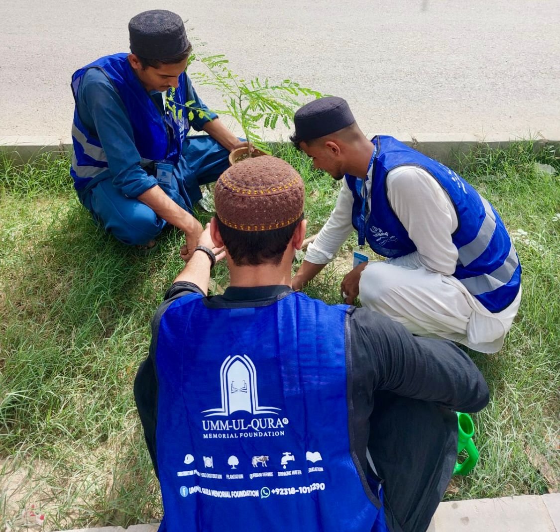 Plantation and environmental sustainability project